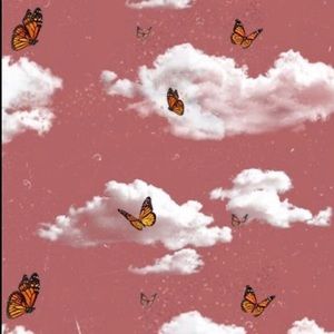 Meet your Posher, Devon